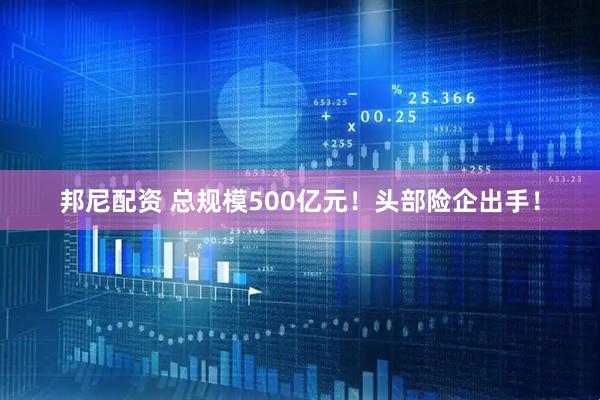 邦尼配资 总规模500亿元！头部险企出手！