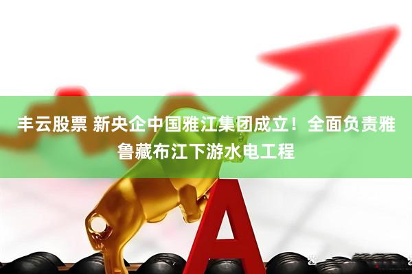 丰云股票 新央企中国雅江集团成立！全面负责雅鲁藏布江下游水电工程