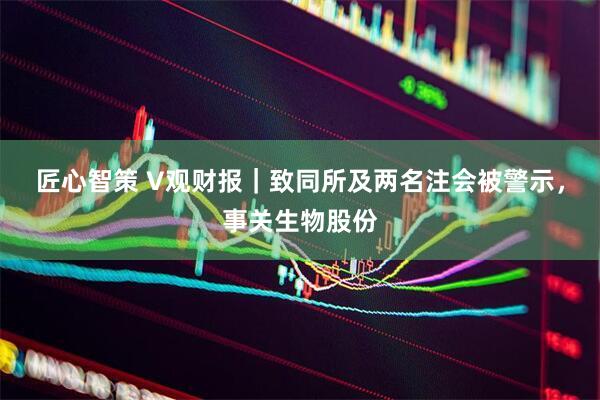 匠心智策 V观财报｜致同所及两名注会被警示，事关生物股份