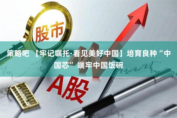 策略吧 【牢记嘱托·看见美好中国】培育良种“中国芯” 端牢中国饭碗