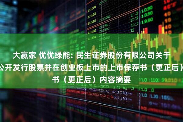 大赢家 优优绿能: 民生证券股份有限公司关于公司首次公开发行股票并在创业板上市的上市保荐书(更正后)内容摘要