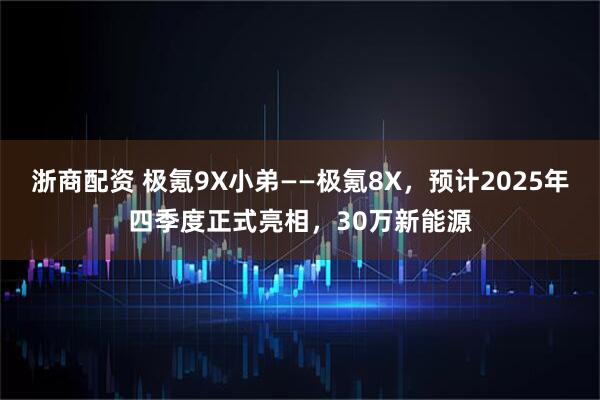 浙商配资 极氪9X小弟——极氪8X,预计2025年四季度正式亮相,30万新能源